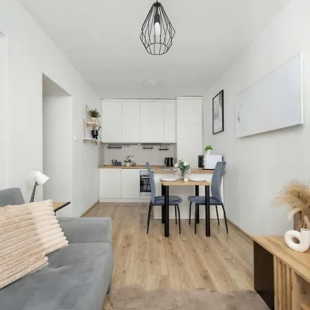 Functional & Modern Pet Friendly By Renters Διαμέρισμα Krasków